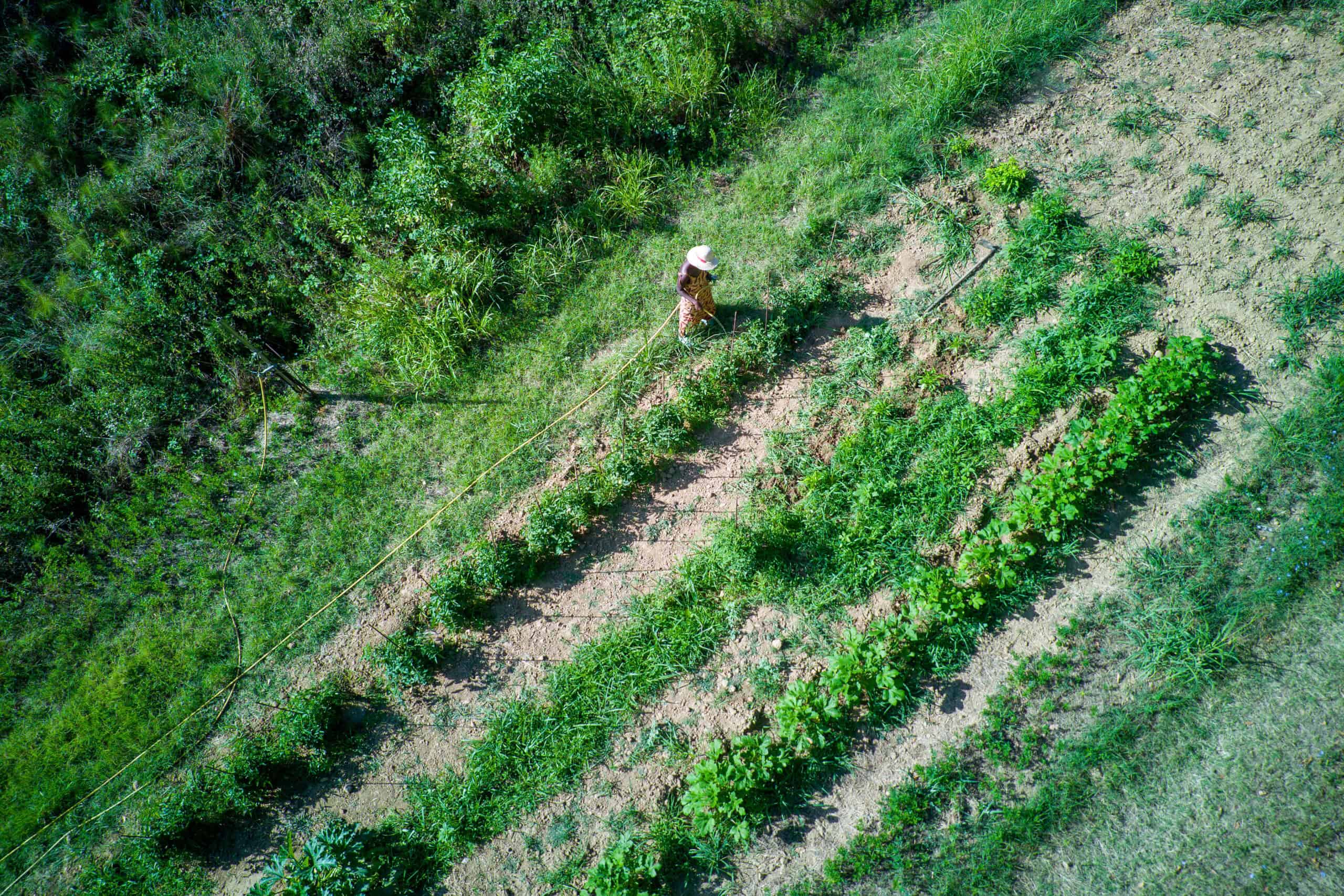 African woman taking care of garden