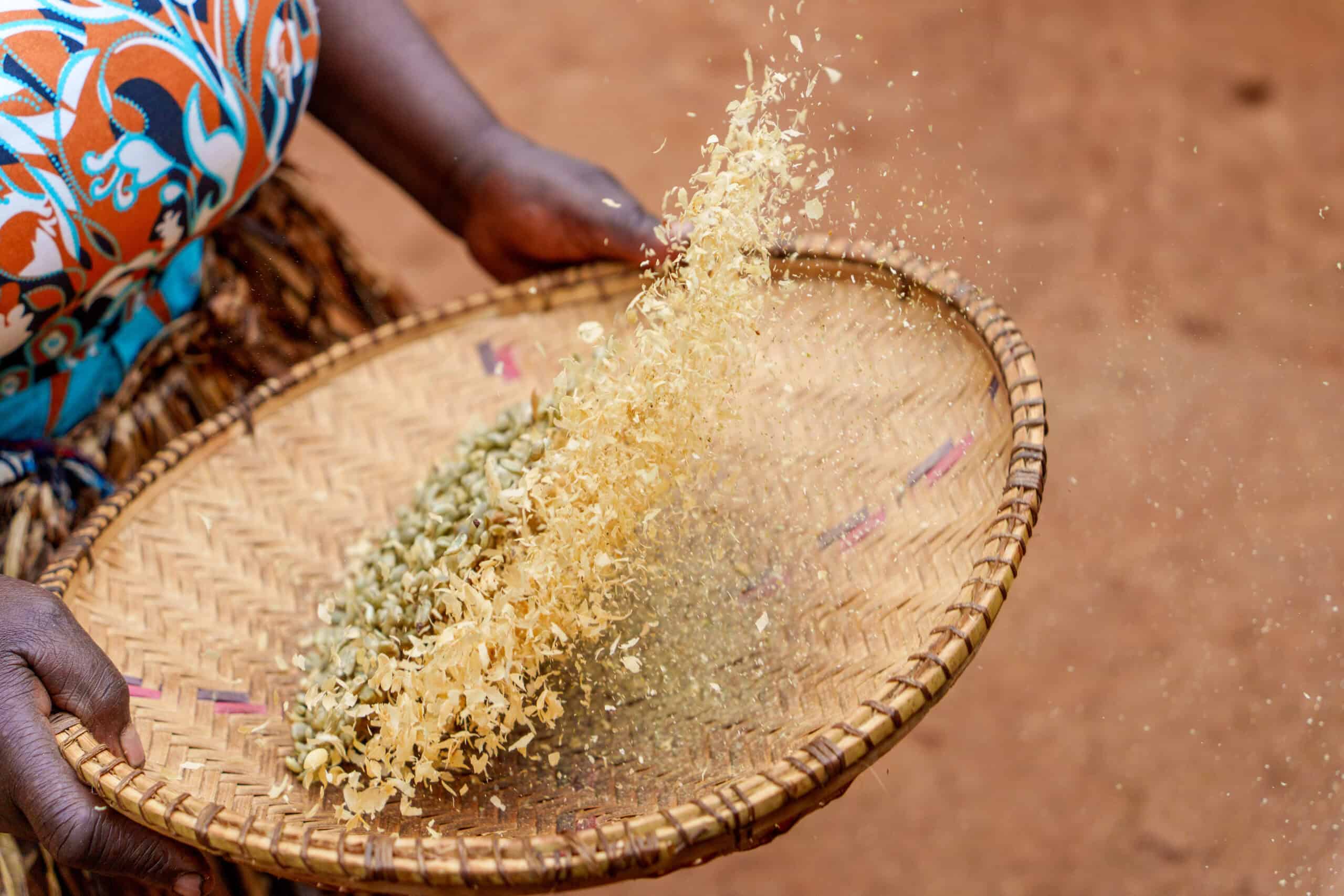 African woman tossing beans